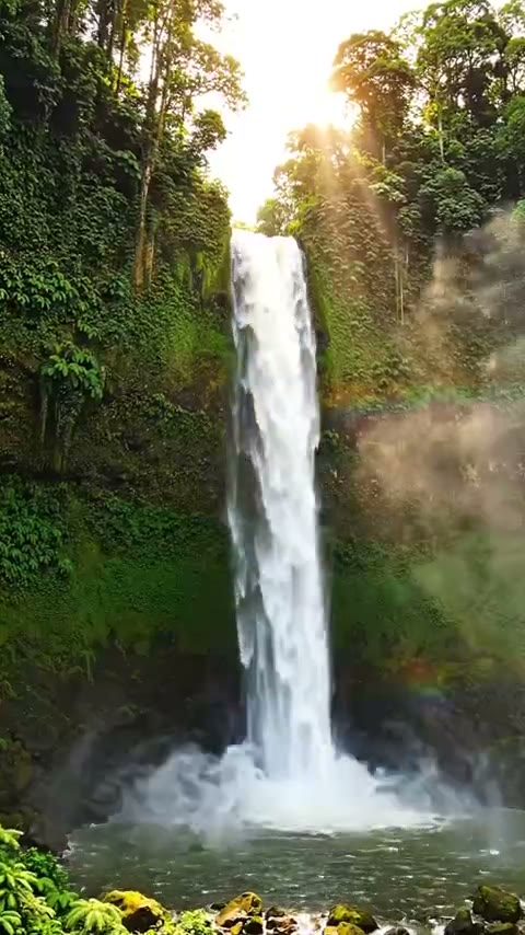 Jungle Waterfall