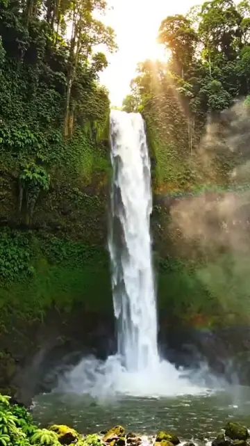 Jungle Waterfall, AI video made with VEO 3.1 Fast